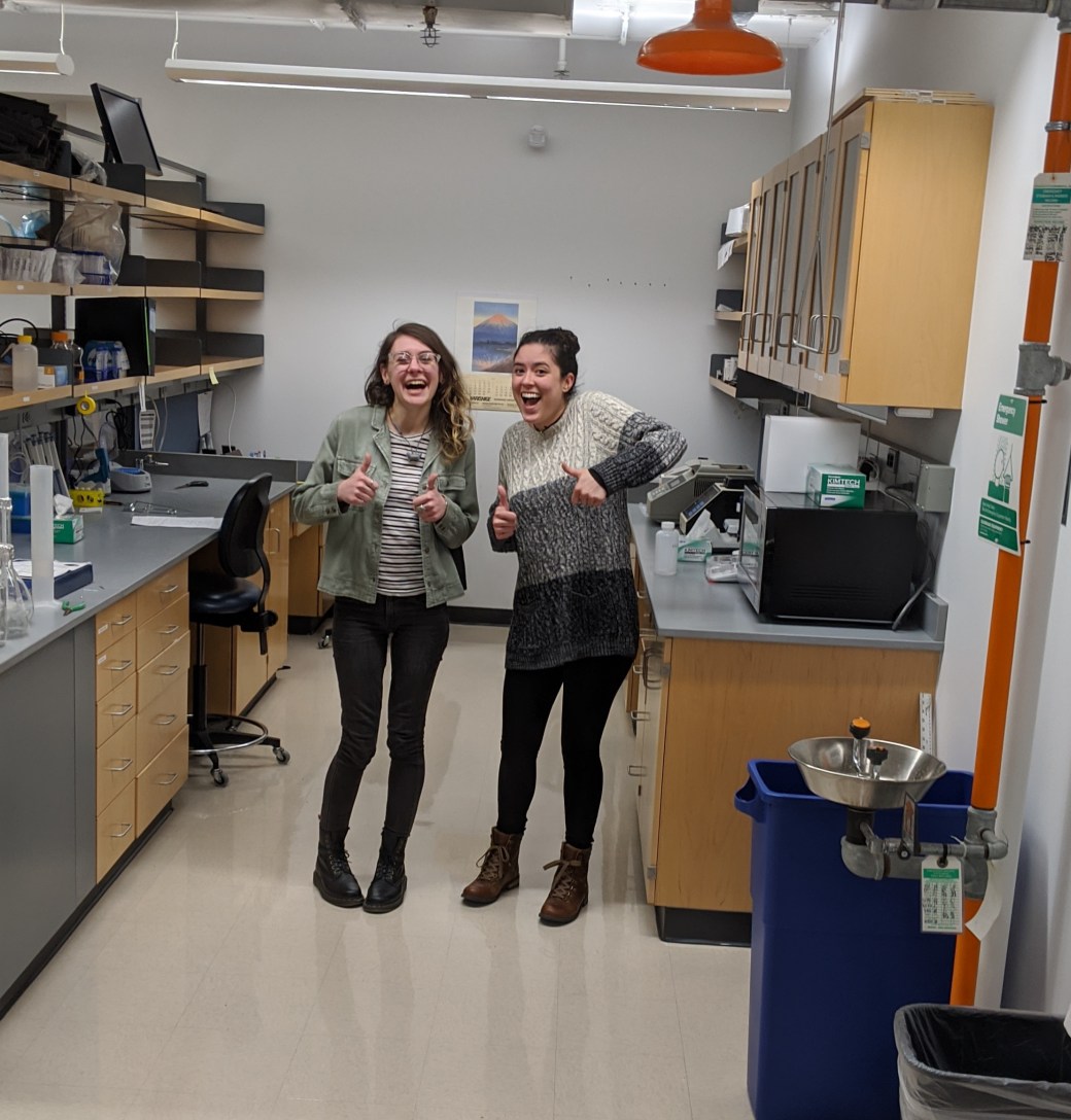 MVIMG_20200121_184604